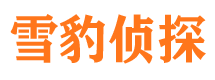 南宁外遇出轨调查取证